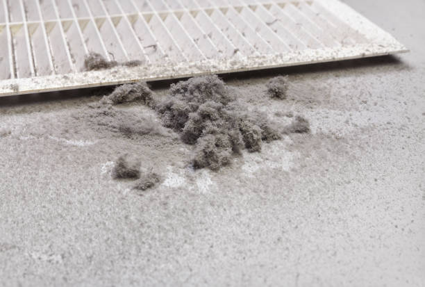 Best Professional Duct Cleaning Services  in Myrtletown, CA